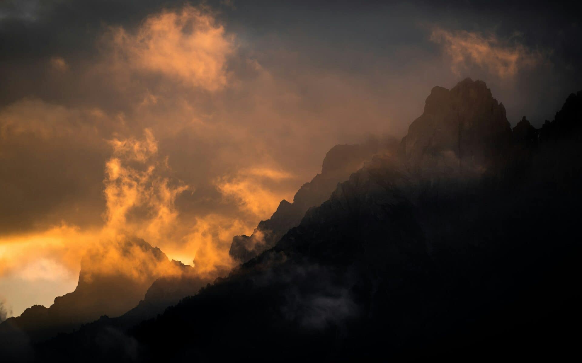 Michael fousert g5xF4J4XFY unsplash